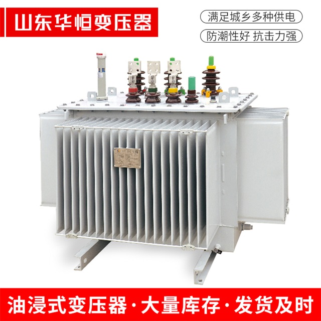 S13-10000/35清水河清水河清水河电力变压器